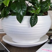 Горшок ОНИКС 1,2л плошка жемчуг 17см - фото 55410