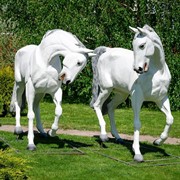 Фигура садовая Орловский рысак U08900 - фото 55956