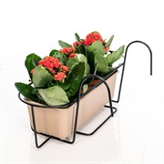 Кронштейн для растений балконный резной Кошка длина 52см металл 203-009 - фото 56009