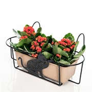 Кронштейн для растений балконный резной Кошка длина 52см металл 203-009 - фото 56011