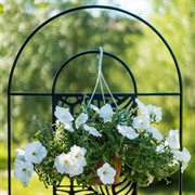 Шпалера садовая для вьющихся металлическая чёрная 202-101 - фото 56062