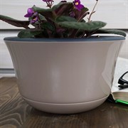 Горшок Омега d20 2.4л фраппе с антрацитовой вкладкой - фото 56154