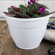 Горшок Антик 1,6л белый с поддоном - фото 56182