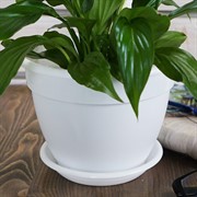 Горшок Антик 2,6л белый с поддоном - фото 56185