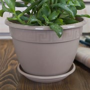 Горшок Антик 1,6л фрапе с поддоном - фото 56251