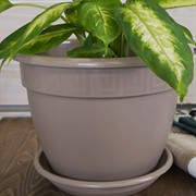 Горшок Антик 4,9л фраппе с поддоном - фото 56260