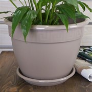 Горшок Антик 7,2л фраппе с поддоном - фото 56264