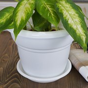 Горшок Милано 3,2л белый - фото 56279
