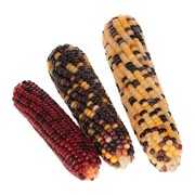 Лакомство Литл Ван Мини кукуруза!!! - фото 56360