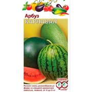 Арбуз Карнавал 5шт - фото 56446