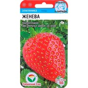 Земляника Женева 10шт - фото 56452