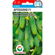 Огурец Арлекино 5 шт - фото 56457 Огурец Арлекино 5 шт - фото 56457