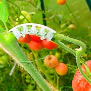 Кистедержатель для томатов Листок 25шт - фото 56559 Кистедержатель для томатов Листок 25шт - фото 56559