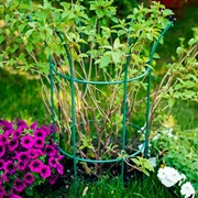 Опора для садовых растений металлическая зелёная Корона 58-920Gr - фото 56846