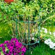 Опора для садовых растений металлическая зелёная Корона 58-920Gr - фото 56847