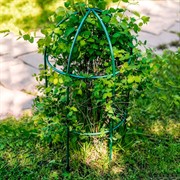 Опора для садовых растений металлическая зелёная Купол 58-909Gr - фото 56882