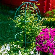 Опора для садовых растений металлическая зелёная Купол 58-909Gr - фото 56883