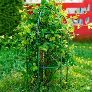 Опора для садовых растений металлическая зелёная Купол 58-909Gr - фото 56884