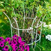 Опора для садовых растений металлическая белая Корона 58-921W - фото 56915