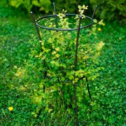 Опора металлическая для садовых растений чёрная 58-913В - фото 56933