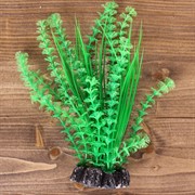 Растение КУСТ ТРИТОН пластмассовое 20см 200490 - фото 56994