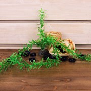 Растение ТРИТОН пластмассовое 38см 3811/8339 - фото 57005