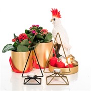 Подсвечник кованый под 1 свечу Треугольник золотой 607-51-G - фото 57066