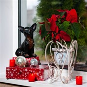 Подставка на подоконник Бабочка на 1 цветок кованая белая 15см 95-034 - фото 57266