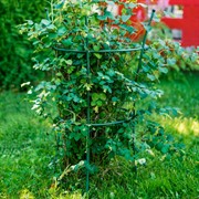 Опора металлическая для садовых растений зелёная 58-912Gr - фото 57281