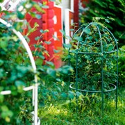Опора для садовых растений металлическая зелёная Купол 58-909Gr - фото 57287