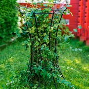 Опора металлическая для растений черная 58-914B - фото 57290