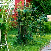 Опора металлическая для растений черная 58-914B - фото 57291