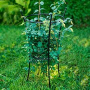 Опора металлическая для садовых растений чёрная 58-913В - фото 57300