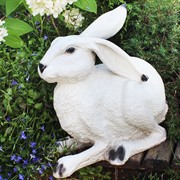 Фигура садовая Заяц ушастый полистоун F07429 - фото 57611