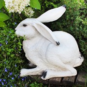 Фигура садовая Заяц ушастый полистоун F07429 - фото 57612