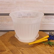 Горшок Виноград 1,6л прозрачный с поддоном - фото 57913