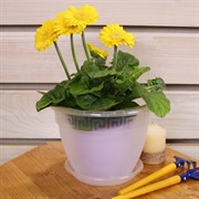 Горшок Антик 1,6л прозрачный с поддоном - фото 57919