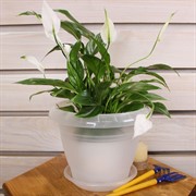 Горшок Фестона 3,3л прозрачный с поддоном - фото 57935