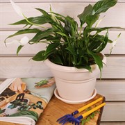 Горшок Милано 3,2л пудровый - фото 57972