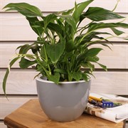 Горшок Орион 2,3л серый муссон с вкладышем - фото 57977