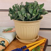 Горшок Виноград 1л кремовый с поддоном - фото 57983