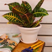 Горшок Милано 2л пудровый - фото 57985