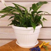 Горшок Флора 4л белый с поддоном - фото 57987