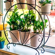 Подставка для цветов на подоконник Бабочки на 12 кашпо 41-918B - фото 57991