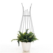 Опора для вьющихся растений Бутон металлическая 58-959B - фото 57995