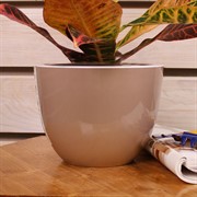 Горшок Орион 2,3л фраппе с вкладышем - фото 57998