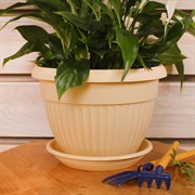 Горшок Флора 2,6л бежевый с поддоном - фото 58004