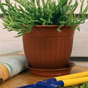Горшок Виноград 0,5л терракот с поддоном - фото 58006