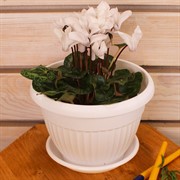 Горшок Флора 2,6л белый с поддоном - фото 58052