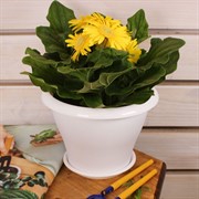 Горшок Гамма 1,6л белый с поддоном - фото 58055